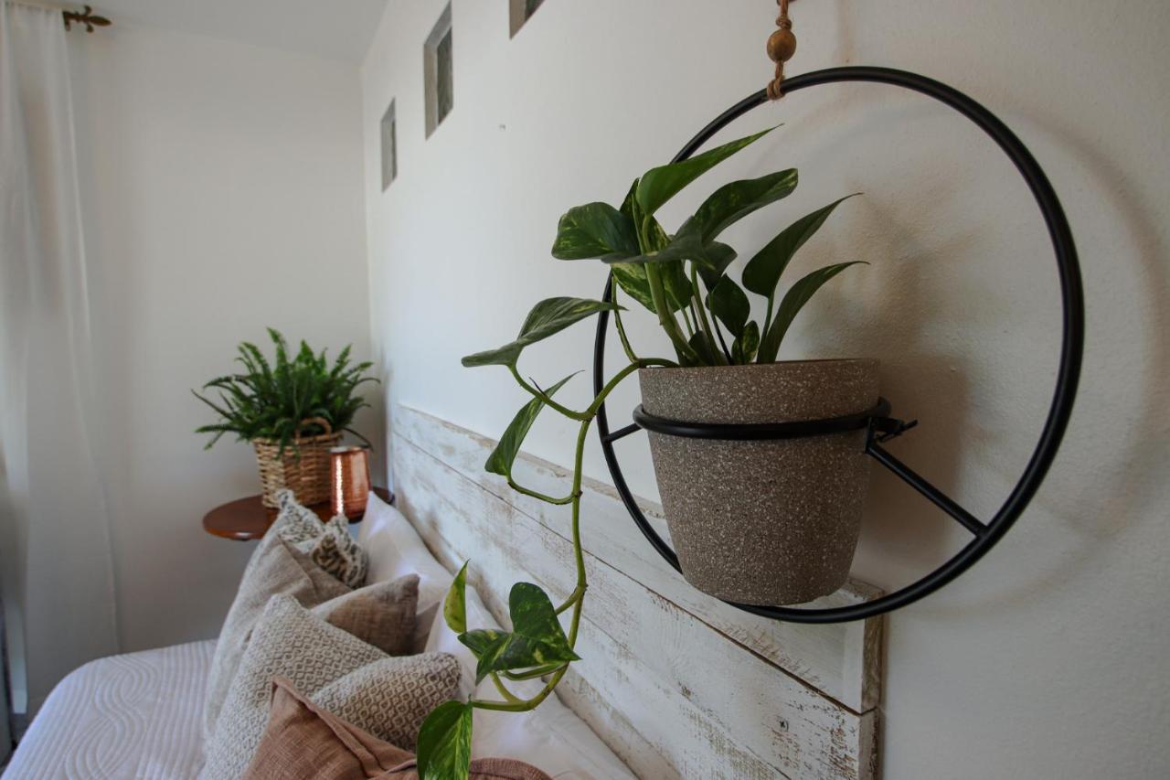 Hacienda Tres Casitas Guest House Кабо Рохо Екстериор снимка