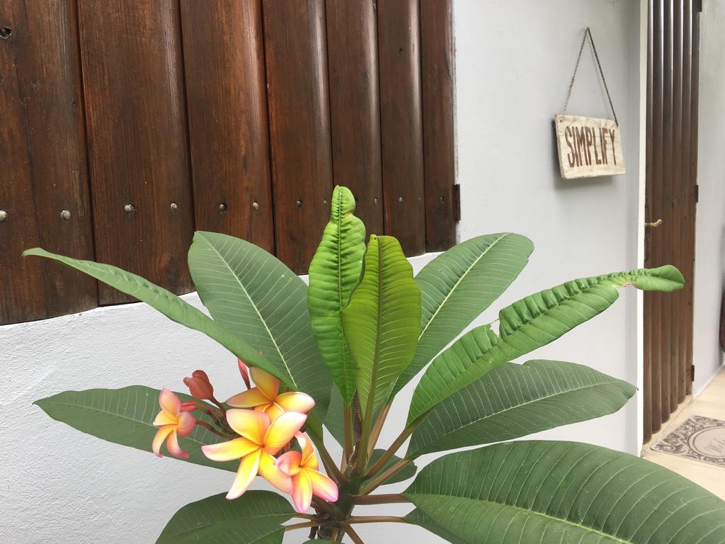 Hacienda Tres Casitas Guest House Кабо Рохо Екстериор снимка